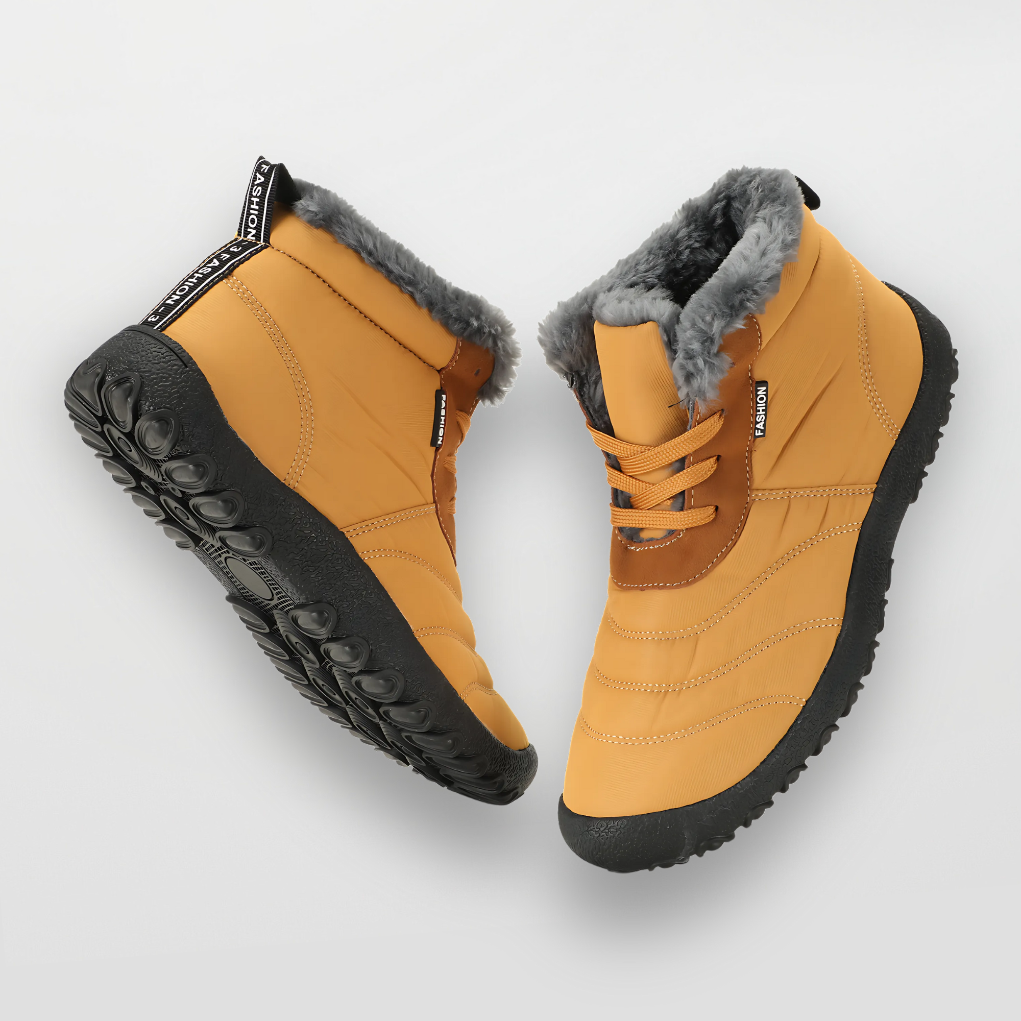 Winter Pro 2.0